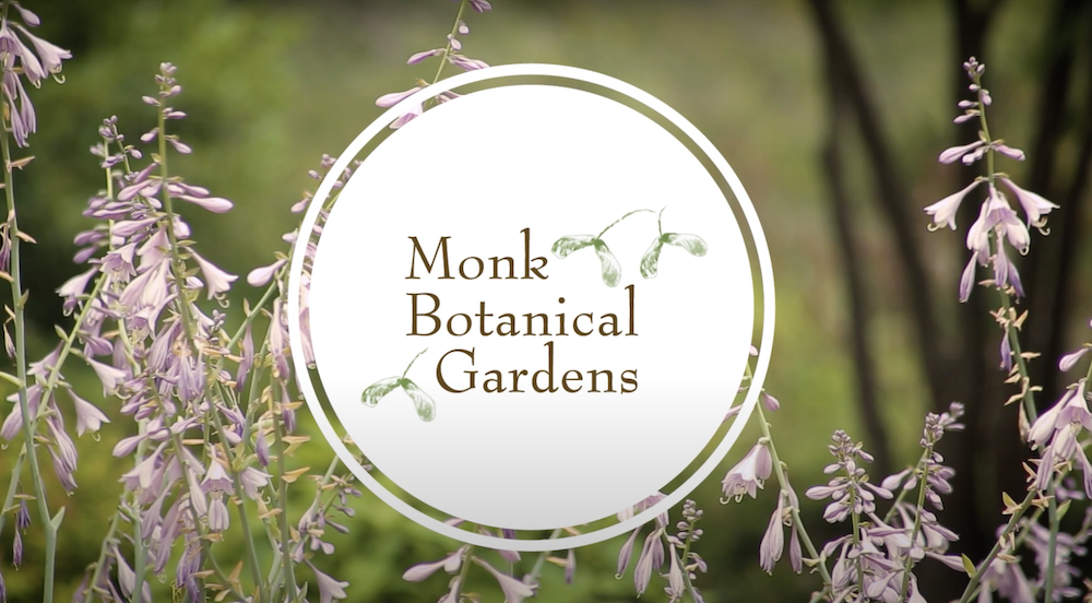 Monk Gardens logo purple flowers