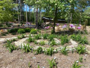 Lily Labyrinth with Hobbit House in background